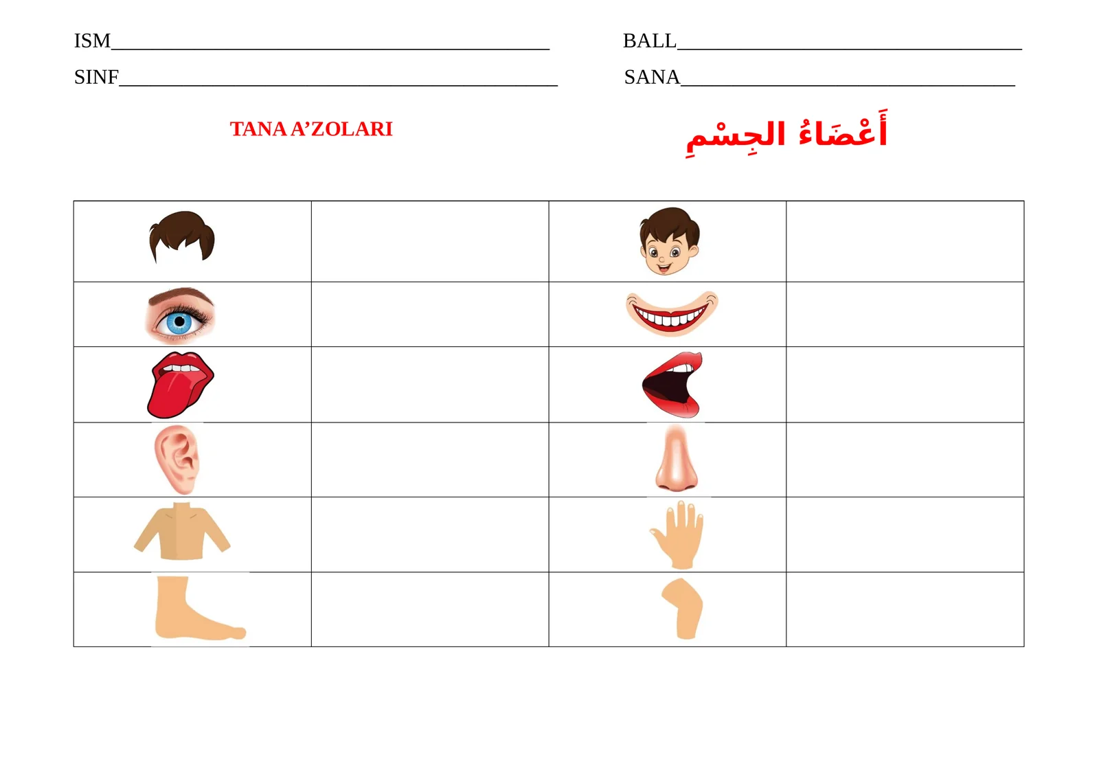 Arab tili tarqatma material 1