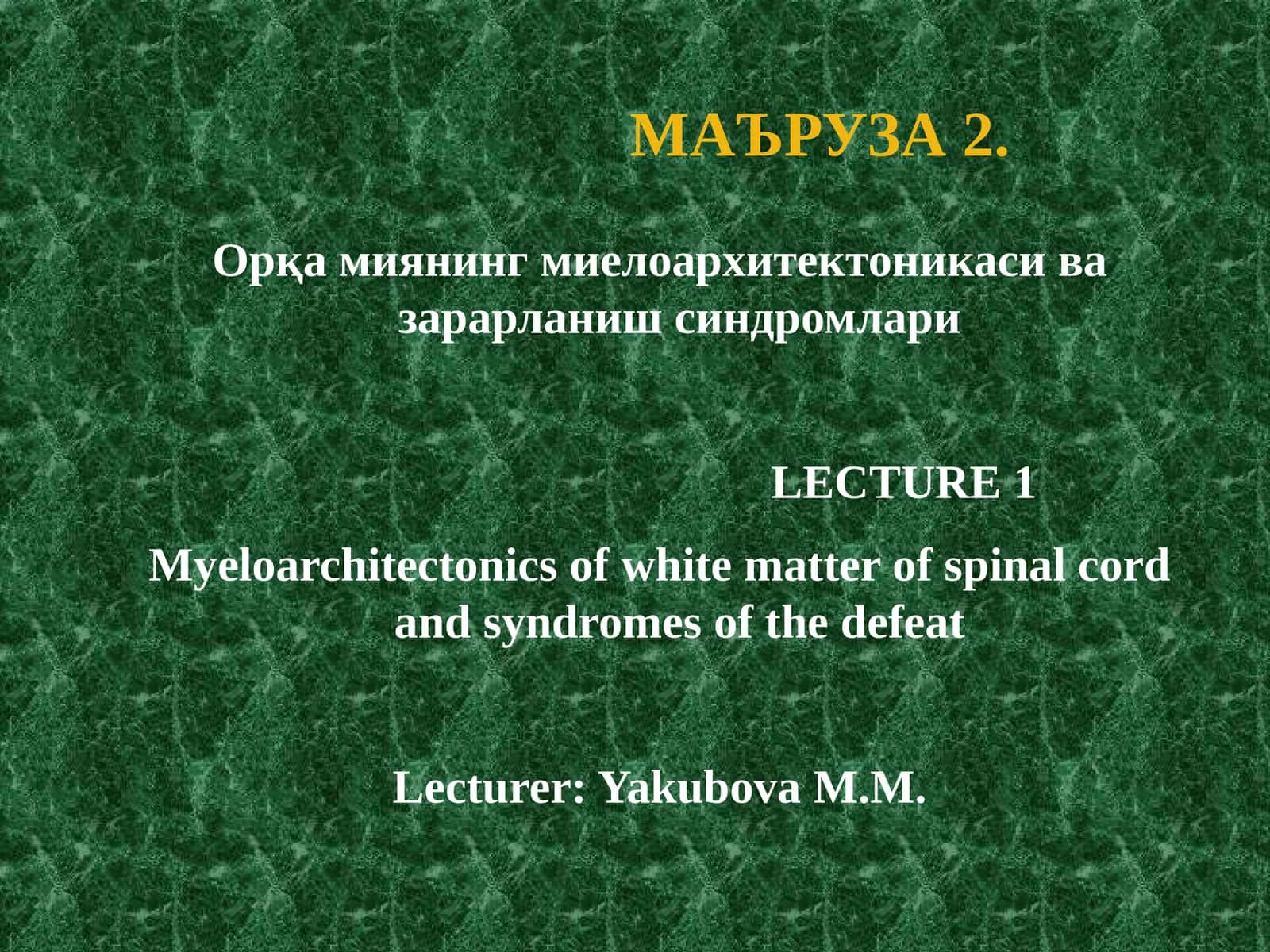Orqa miyaning mileoarxitektonikasi 1