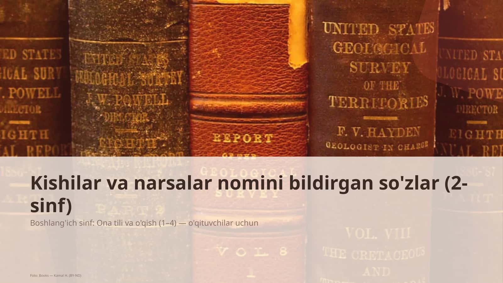 Kishilar va narsalar nomini bildirgan so'zlar (2-sinf) 1