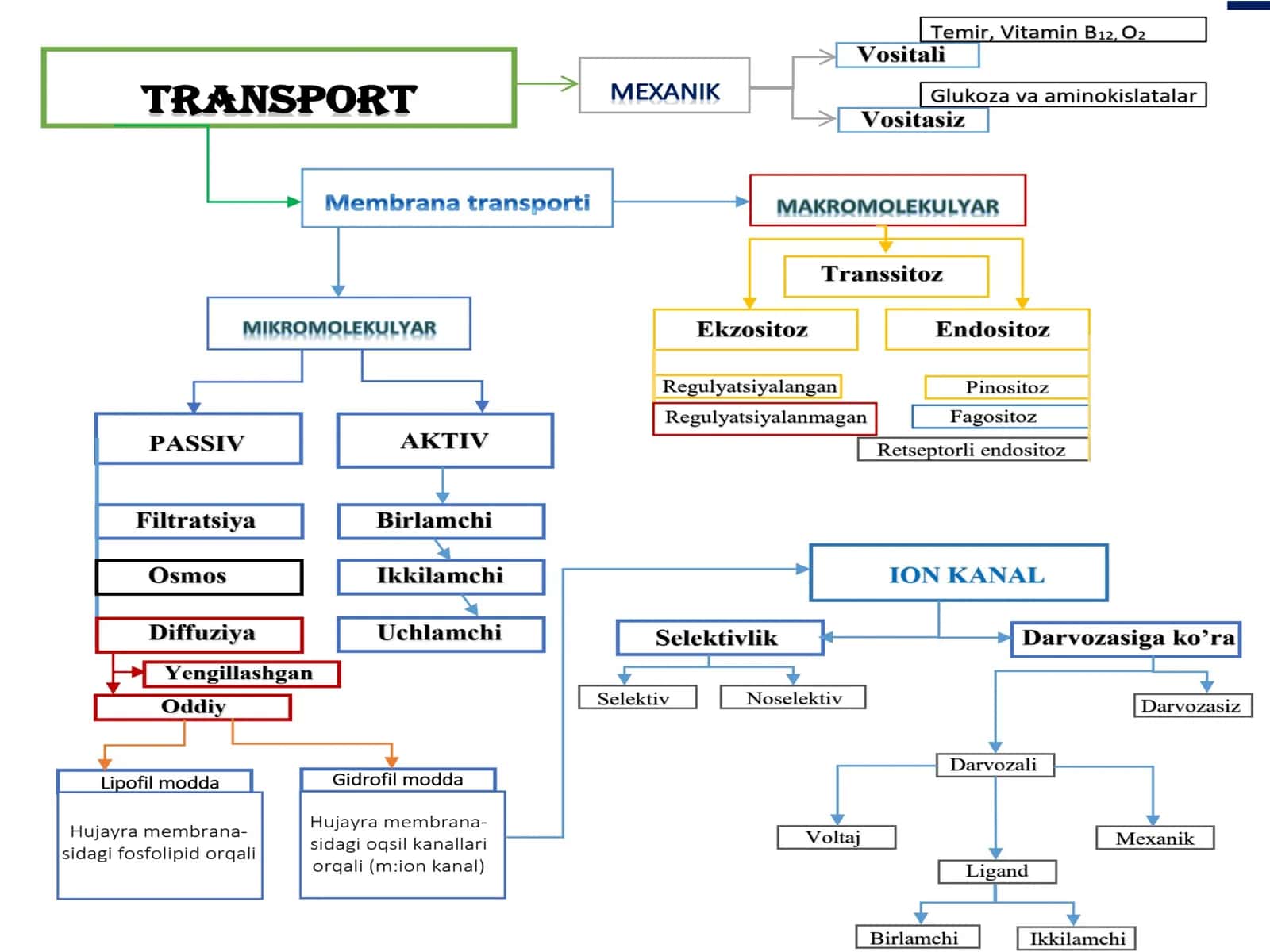 Aktivtransport-moddalargradienti 1