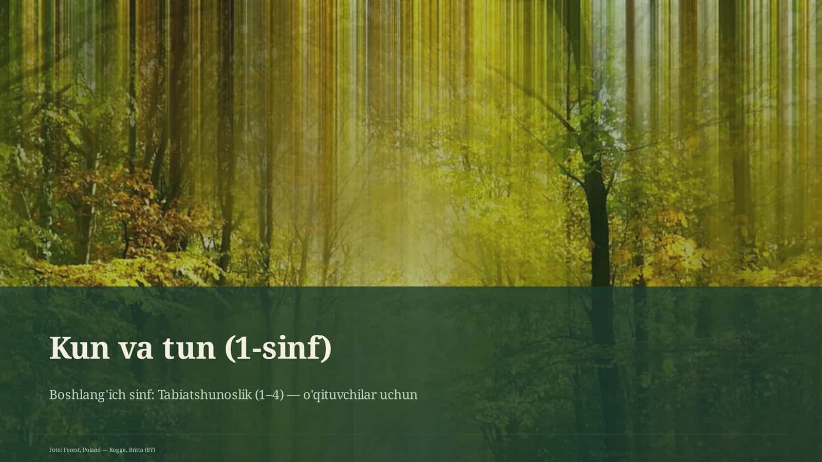 Kun va tun (1-sinf) 3