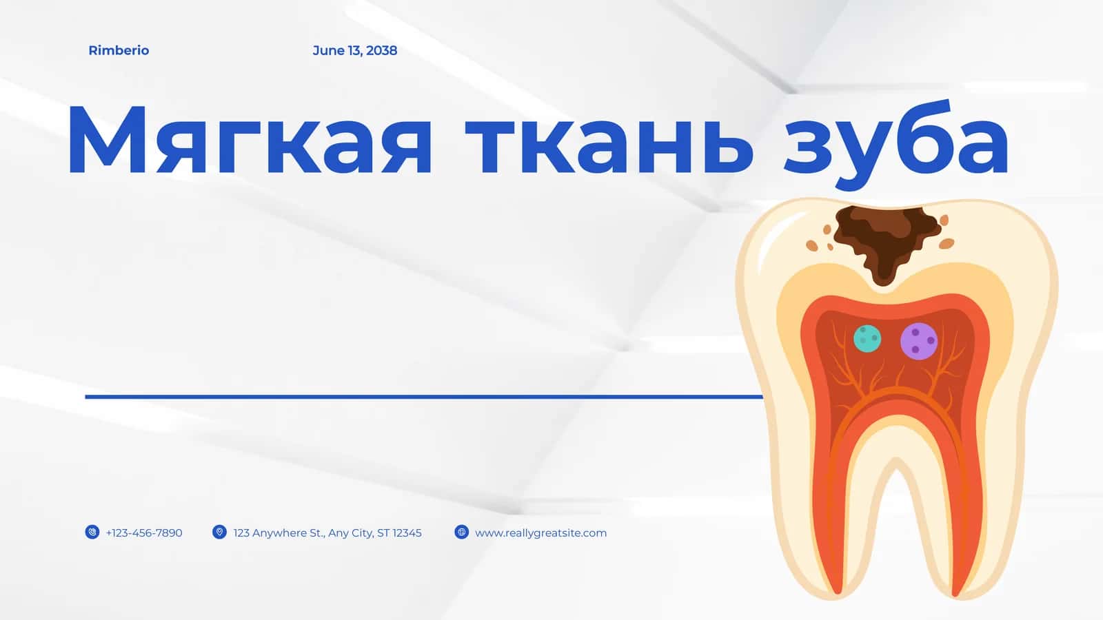Мягкая ткань зуба 1