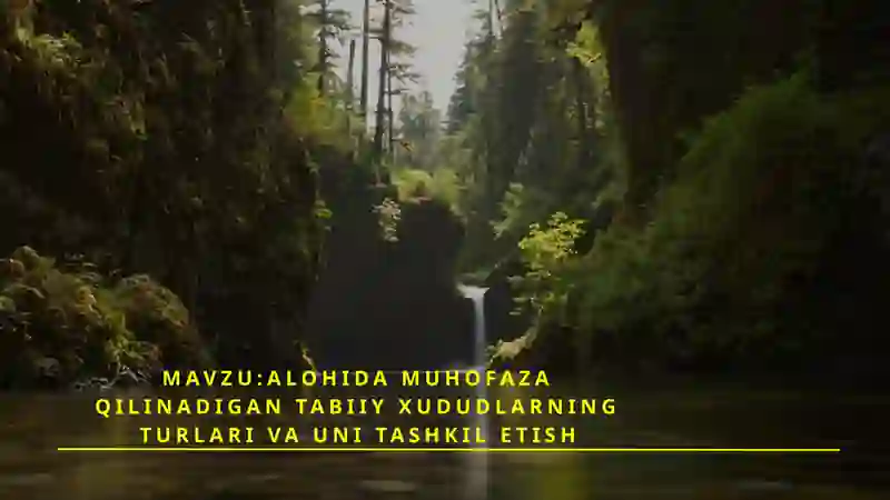 Alohida muhofaza qilinadigan tabiiy xududlarning turlari va uni tashkil etish