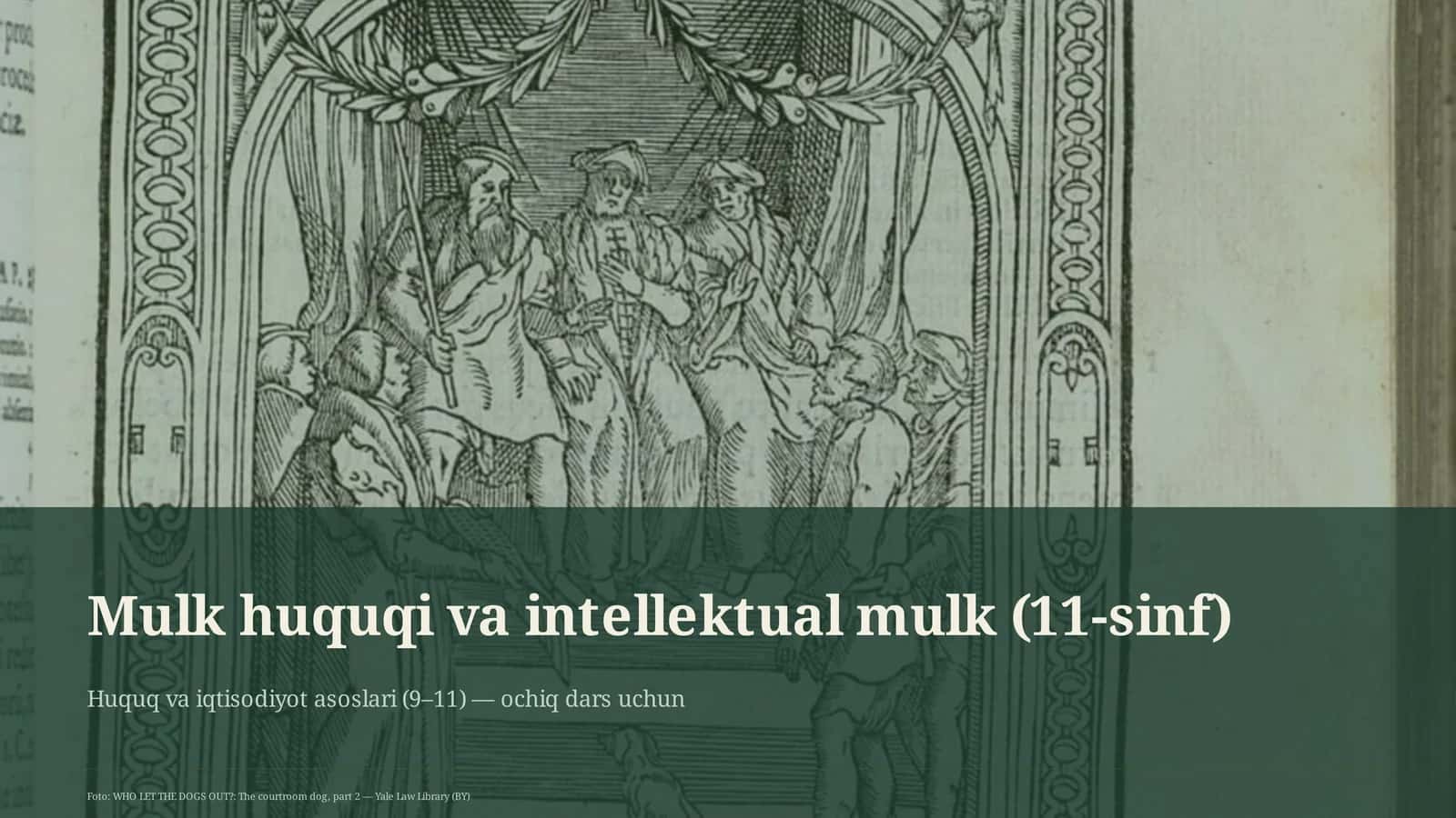 Mulk huquqi va intellektual mulk (11-sinf) 1