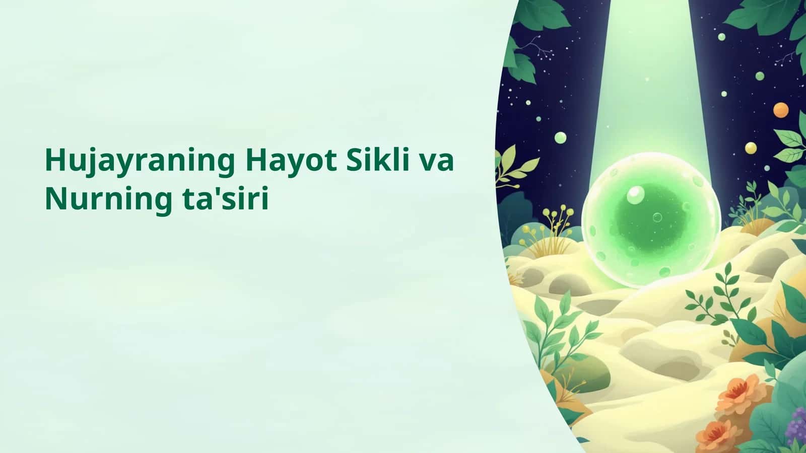 Hujayraning Hayot Sikli va Nurningta'siri 1
