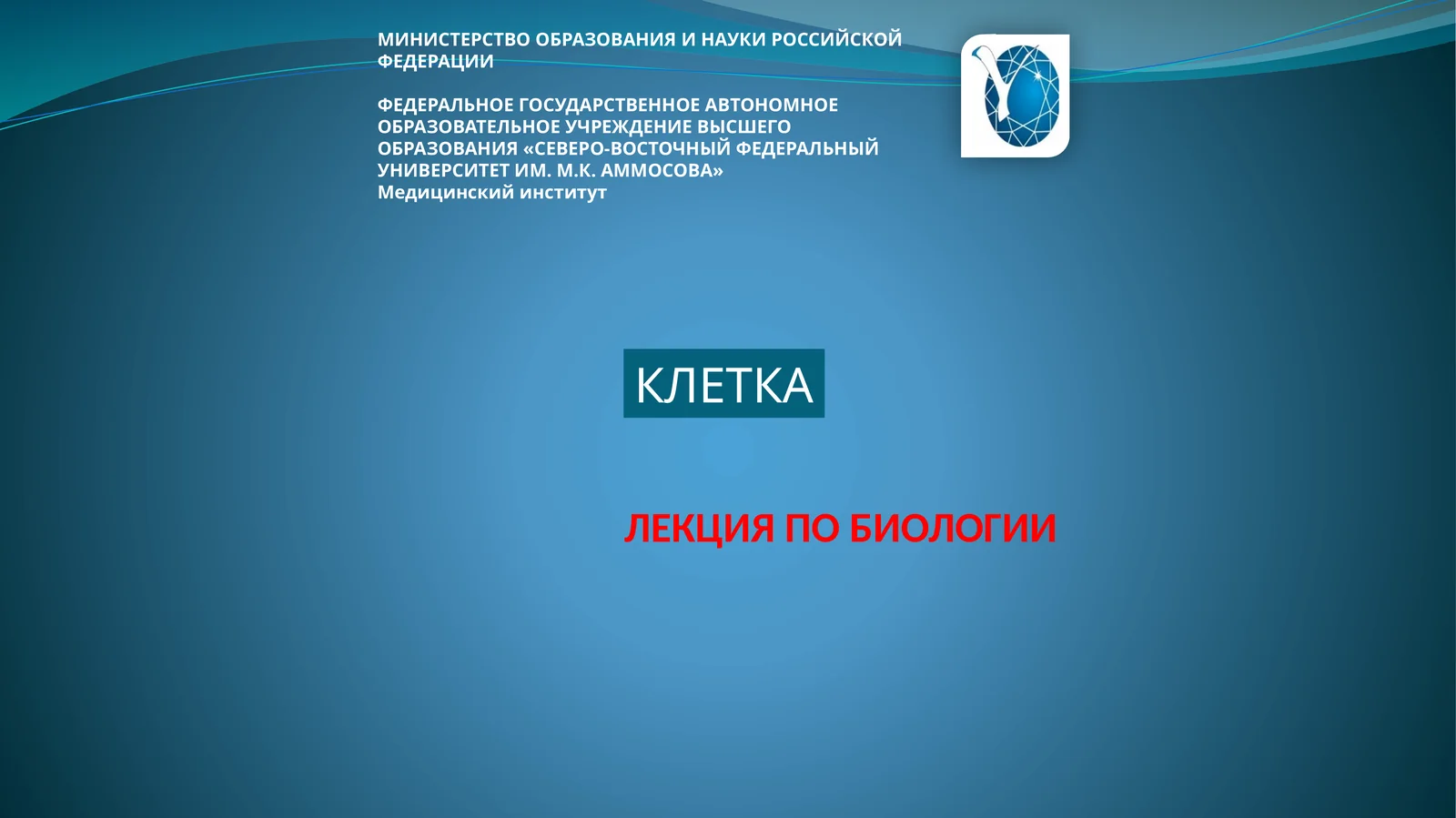 КЛЕТКА 1
