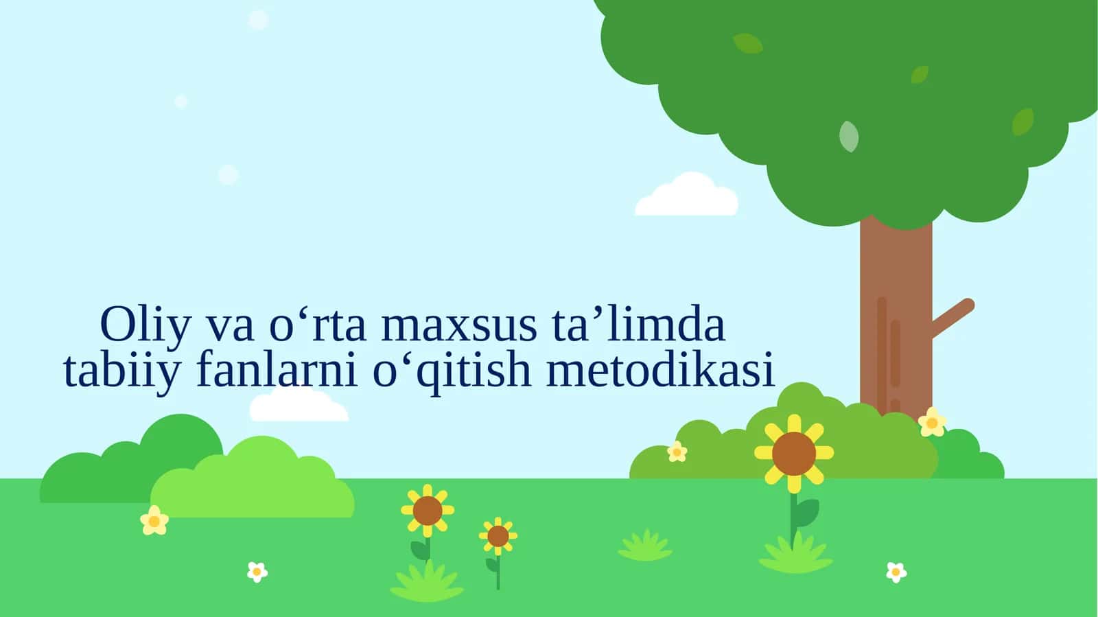 Oliy va o‘rta maxsus ta’lim dastabiy fanlarni o‘qitish metodikasi 1