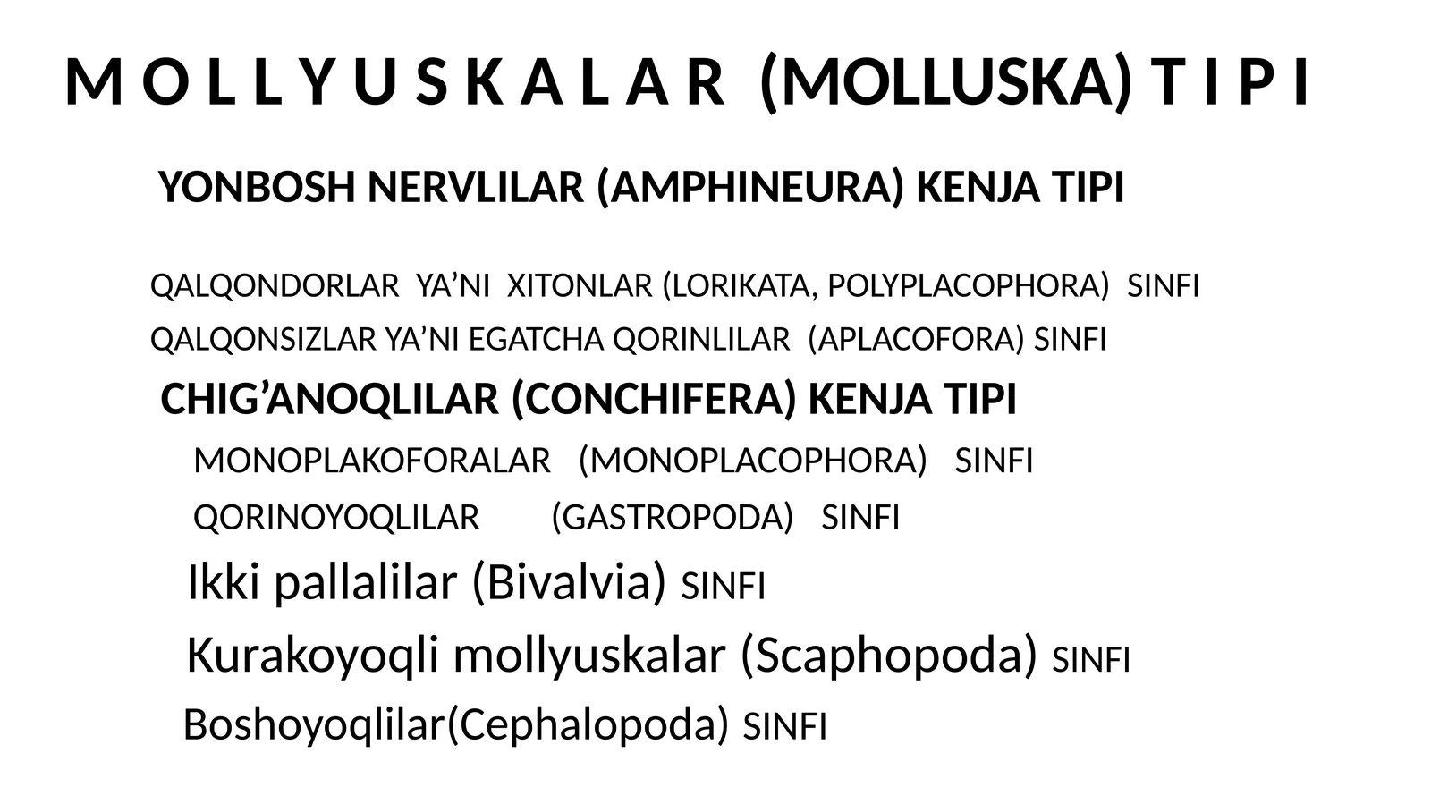 MOLLYUSKALAR(Mollusca) 1