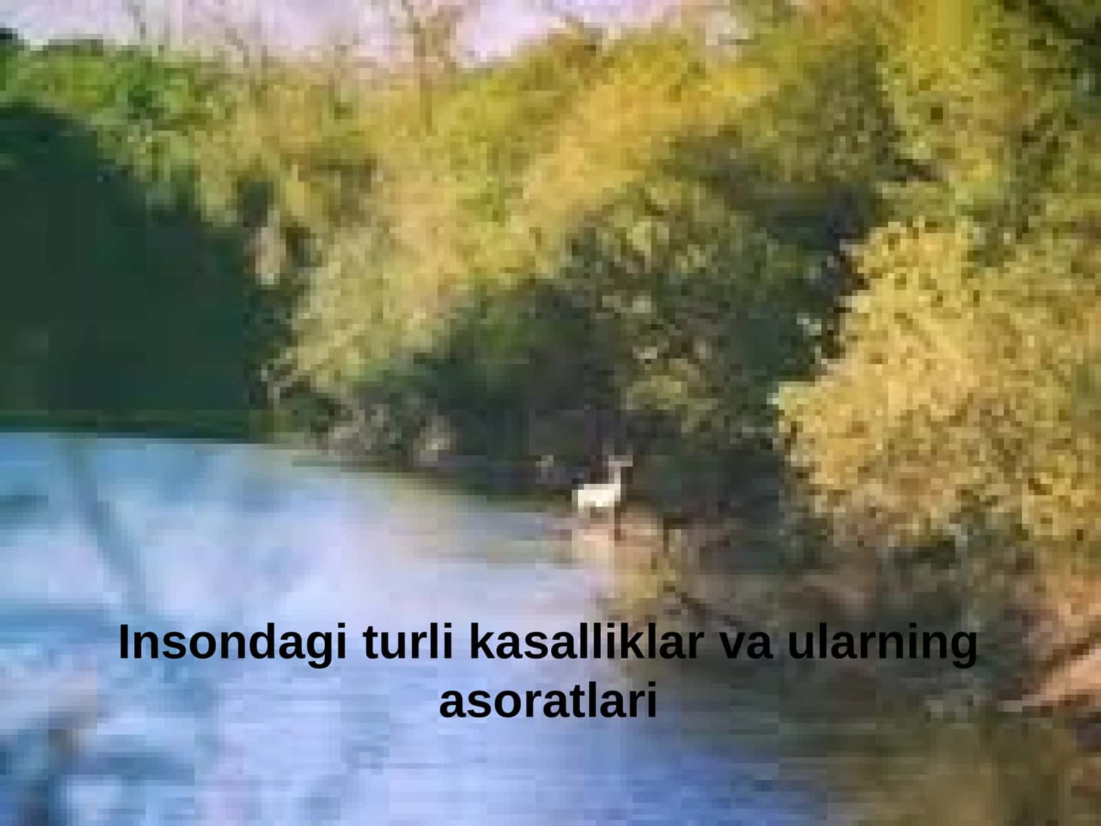 Insondagi turli kasalliklar va ularning asoratlari 1