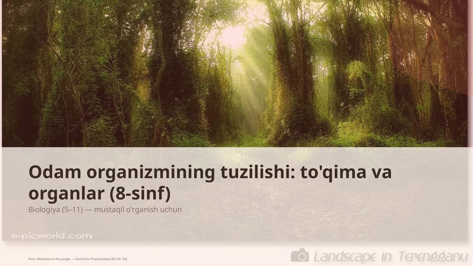 Odam organizmining tuzilishi: to'qima va organlar (8-sinf) 1