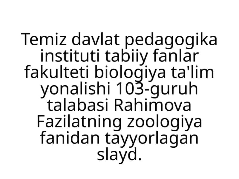 Rahimova Fazilat Zoologiya fanidan tayyorlagan slayd 1