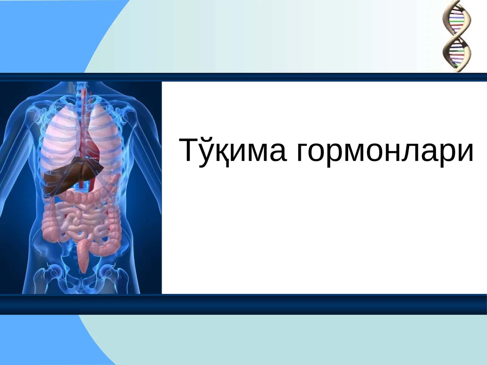 Тўқима гормонлари 1