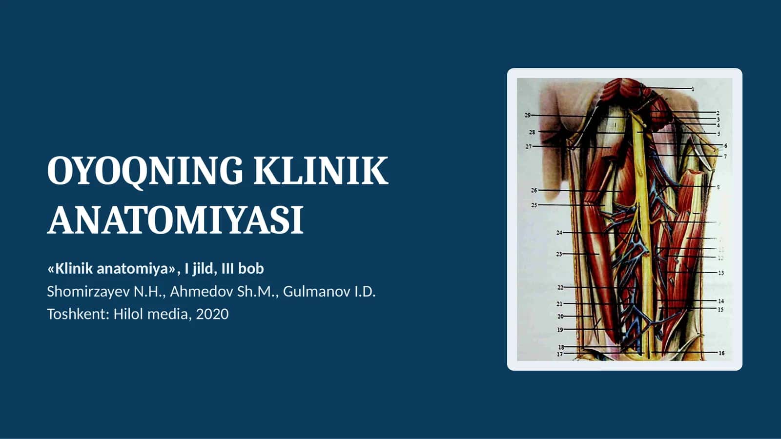 OYOQNING KLINIK ANATOMIYASI 1