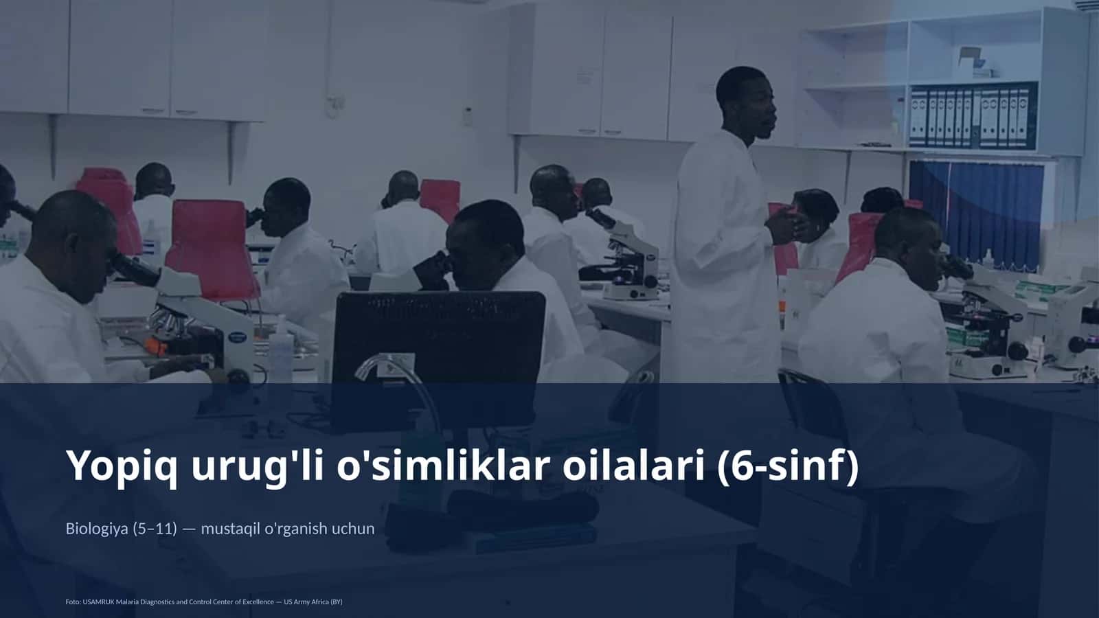 Yopiq urug'li o'simliklar oilalari (6-sinf) 1