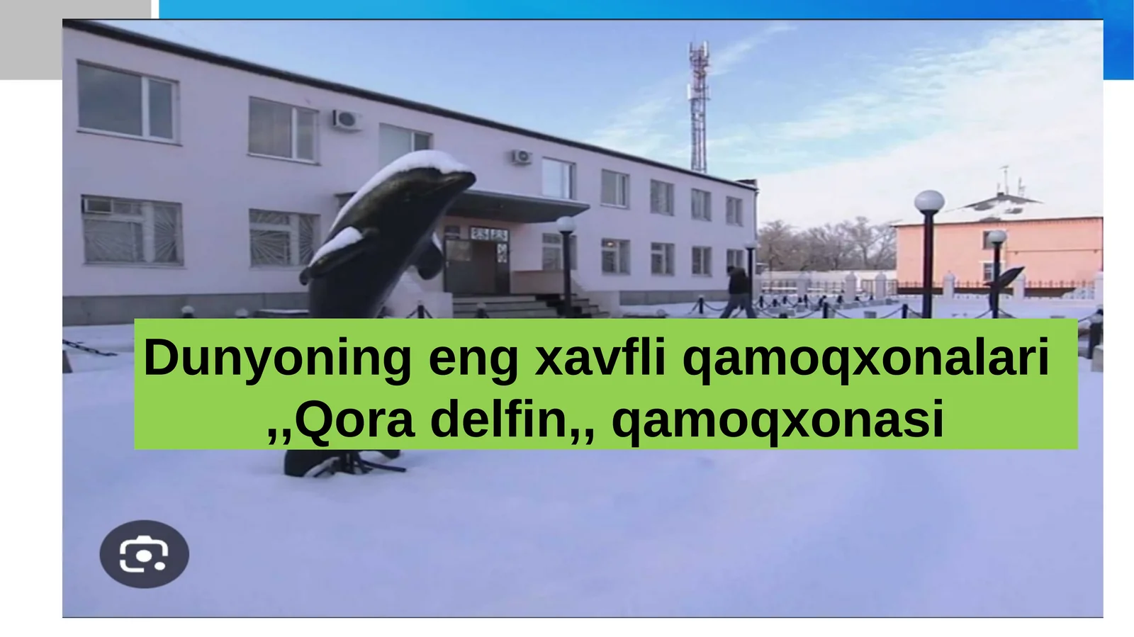Qora delfin 1