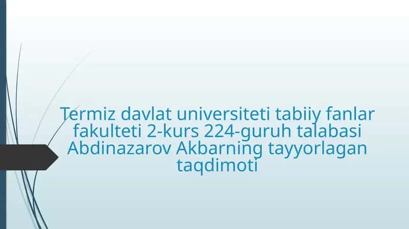 Salplar va appendikulyariyalar sinfi 1