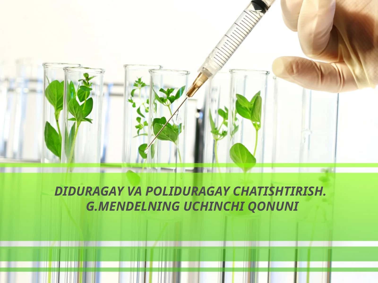DIDURAGAY VA POLIDURAGAY CHATISHTIRISH.G.MENDELNING UCHINCHI QONUNI 1