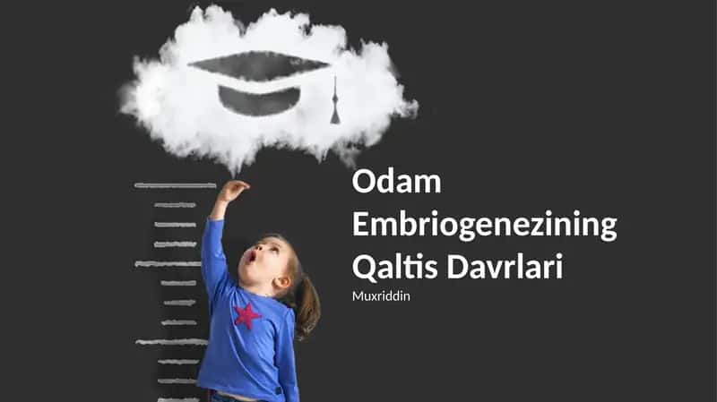 Odam Embriogenezining Qaltis Davrlari 1