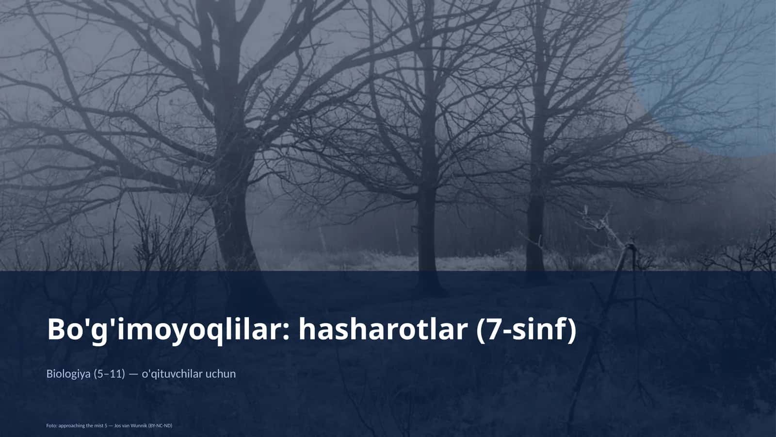 Bo'g'imoyoqlilar: hasharotlar (7-sinf) 1
