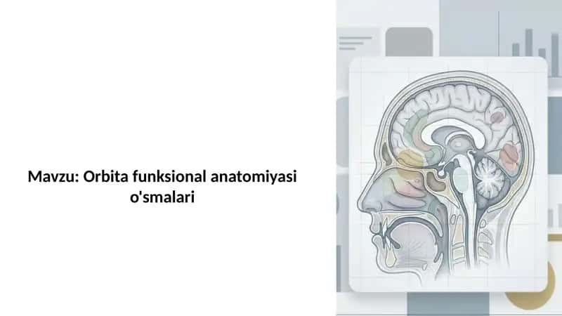Orbitafunksionalanatomiyasi o'smalari 1