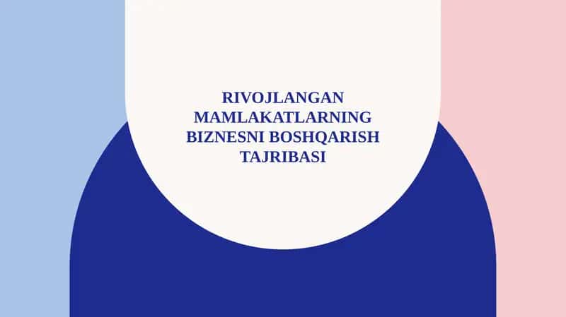 Rivojlangan mamlakatlarning biznesni boshqarish tajribasi 1