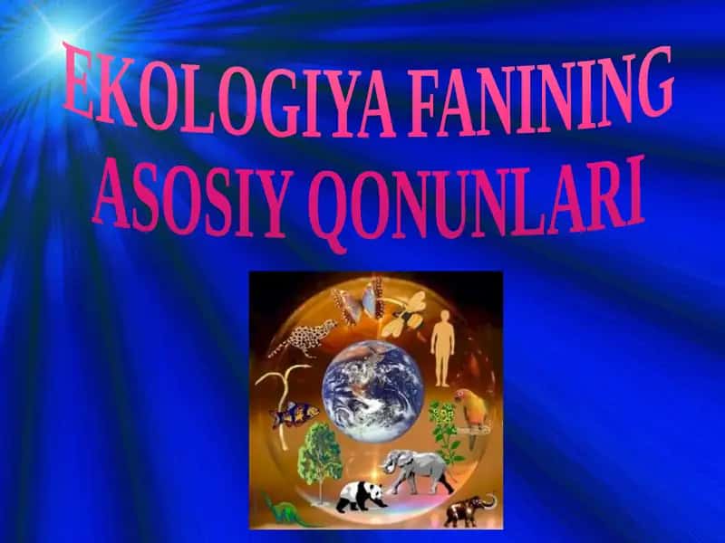 Ekologiya Faniningasosiy Qonunlari 1