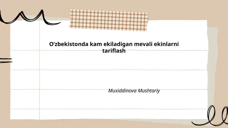 Kivi 1