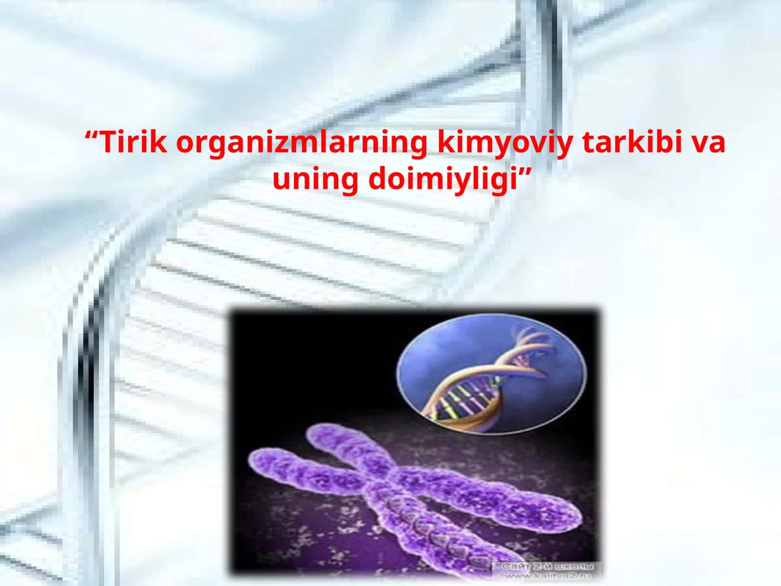 “Tirik organizmlarning kimyoviy tarkibi va uning doimiyligi” 1