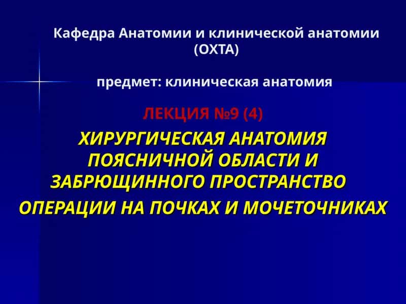 Лекция №9 (4) Хирургическая анатомия 1