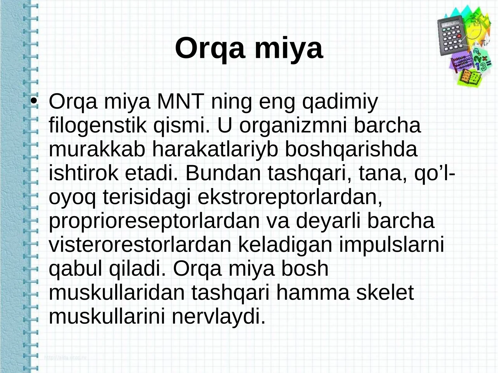 Orqa miya 1