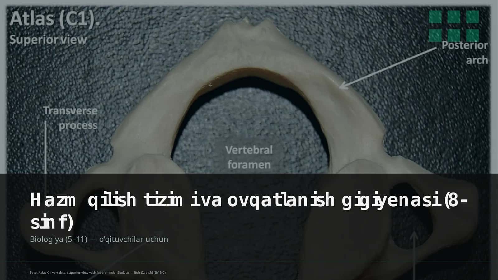 Hazm qilish tizimi va ovqatlanish gigiyenasi (8-sinf) 1