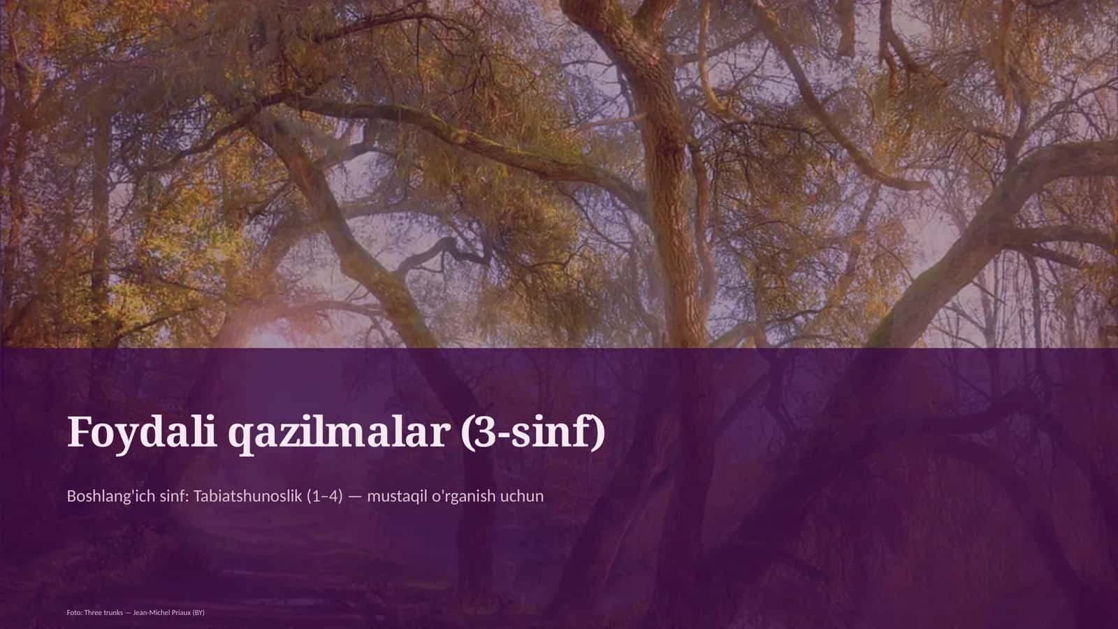 Foydali qazilmalar (3-sinf) 1