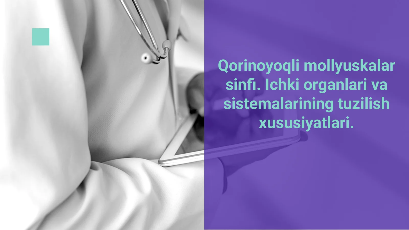Qorinoyoqli mollyuskalar sinfi 1