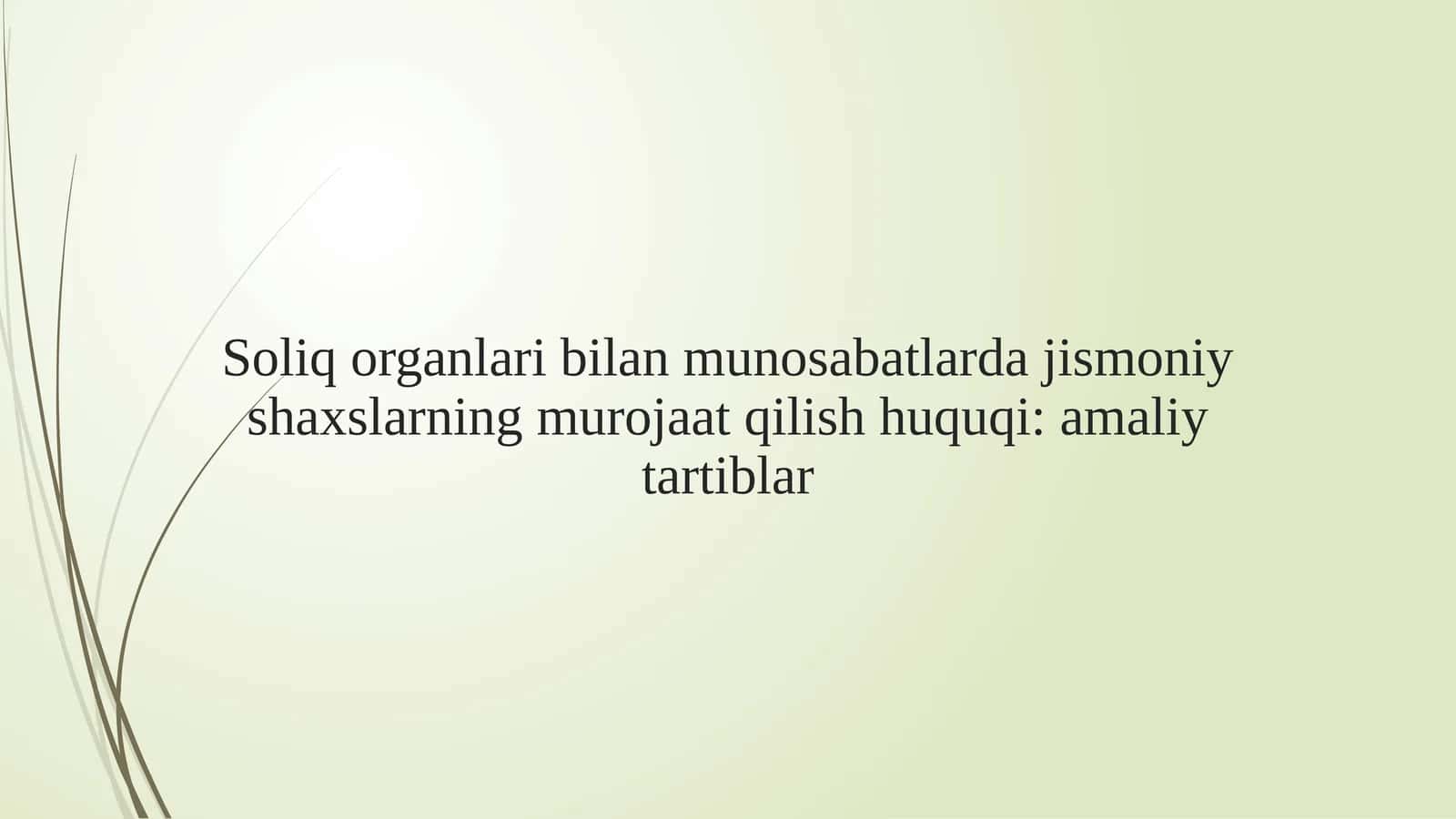 Soliq organlari bilan munosabatlarda jismoniy shaxslarning murojaat qilish huquqi amaliy tartiblar 1