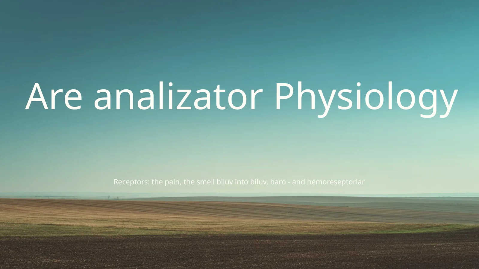 Analizator system 1