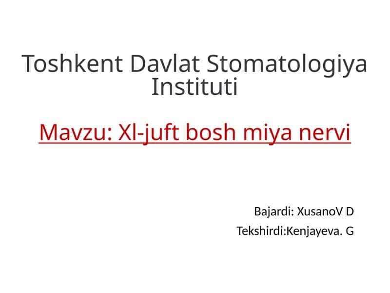 Xl-juftboshmiyanervi 1