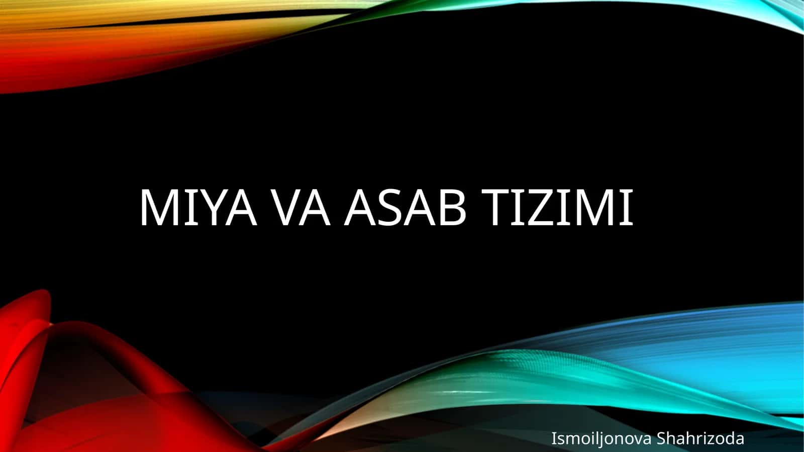 Miyavaasabtizimi 1