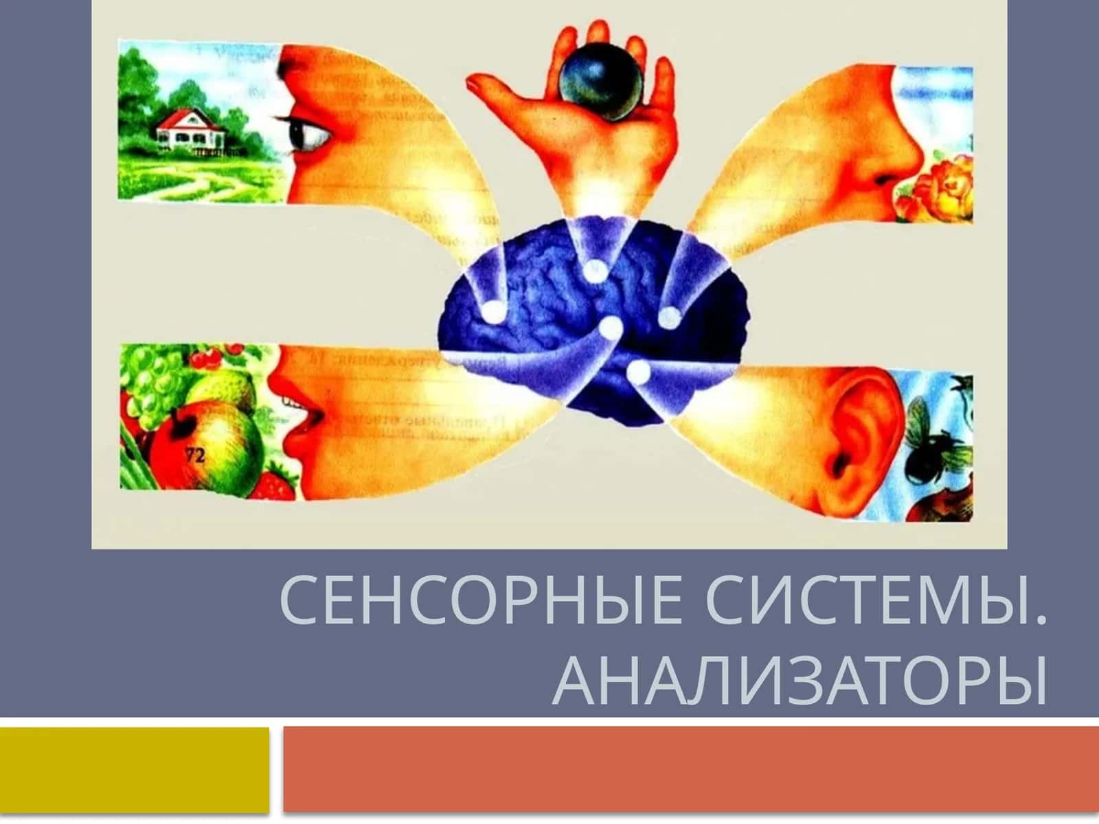 Анализатор 1