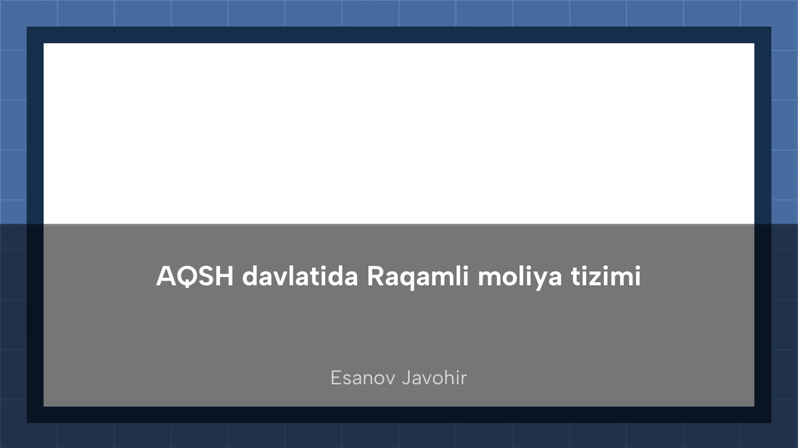 Raqamli moliya tizimi AQSH davlatida 1
