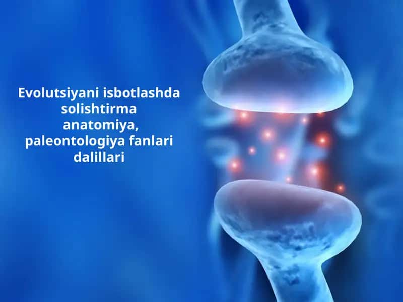 Evolutsiyani isbotlashda solishtirma anatomiya, paleontologiya fanlari dalillari 1