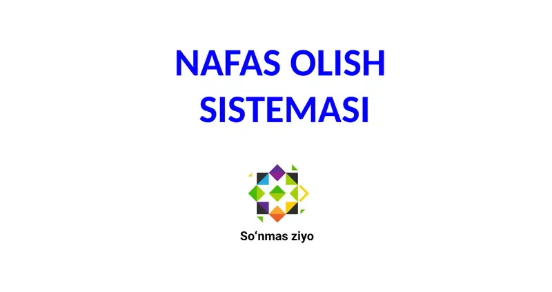 NAFAS OLISH SISTEMASI 1