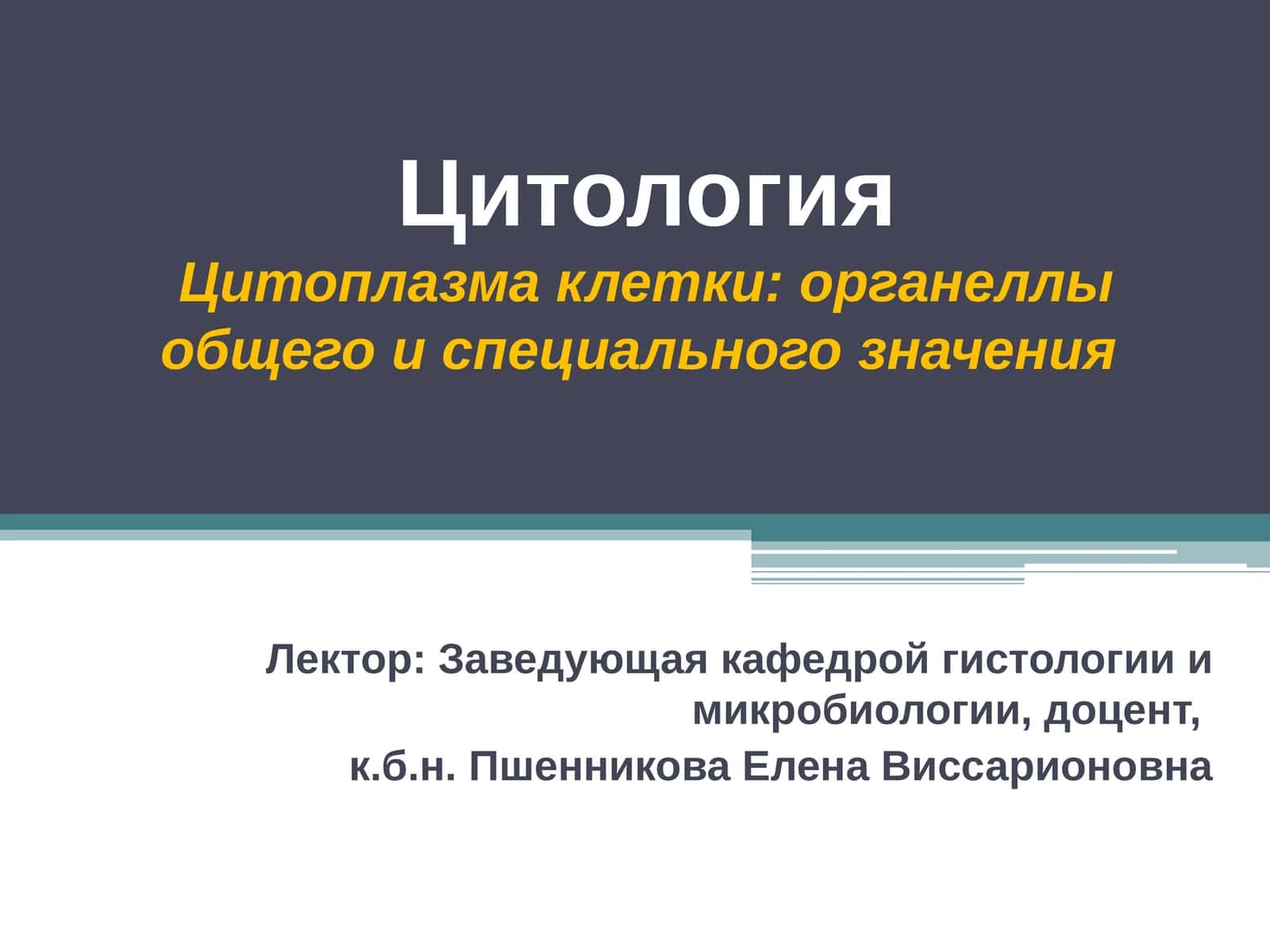 Цитоплазма клетки: органеллы общего и специального значения 1