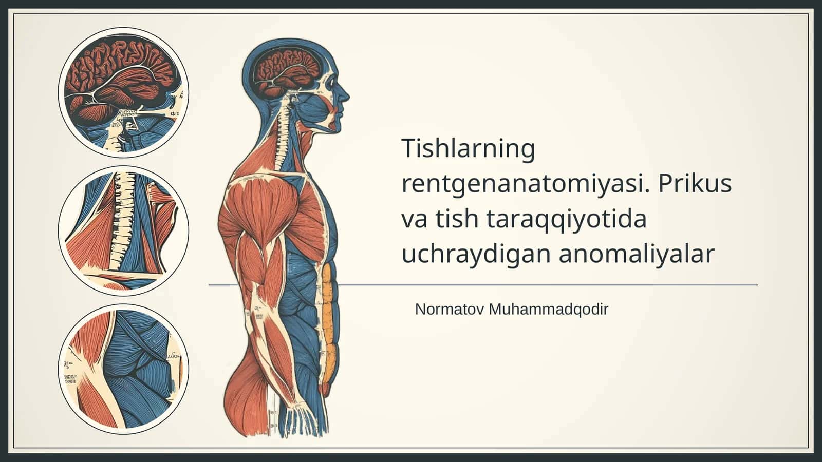 Tishlarning rentgenanatomiyasi. Prikus va tish taraqqiyotida uchraydigan anomaliyalar 1