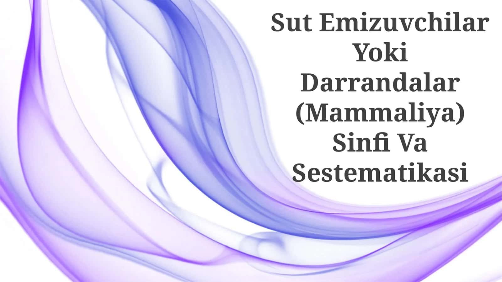 Sut Emizuvchilar Yoki Darrandalar (Mammaliya) Sinfi Va Sestematikasi 1