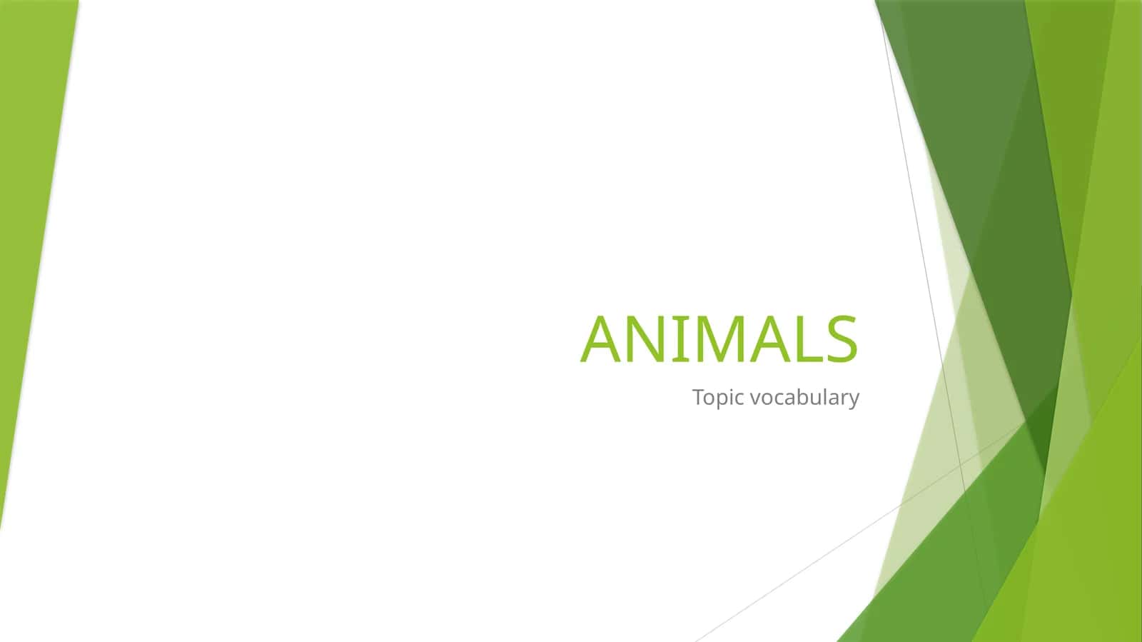 ANIMALS 1