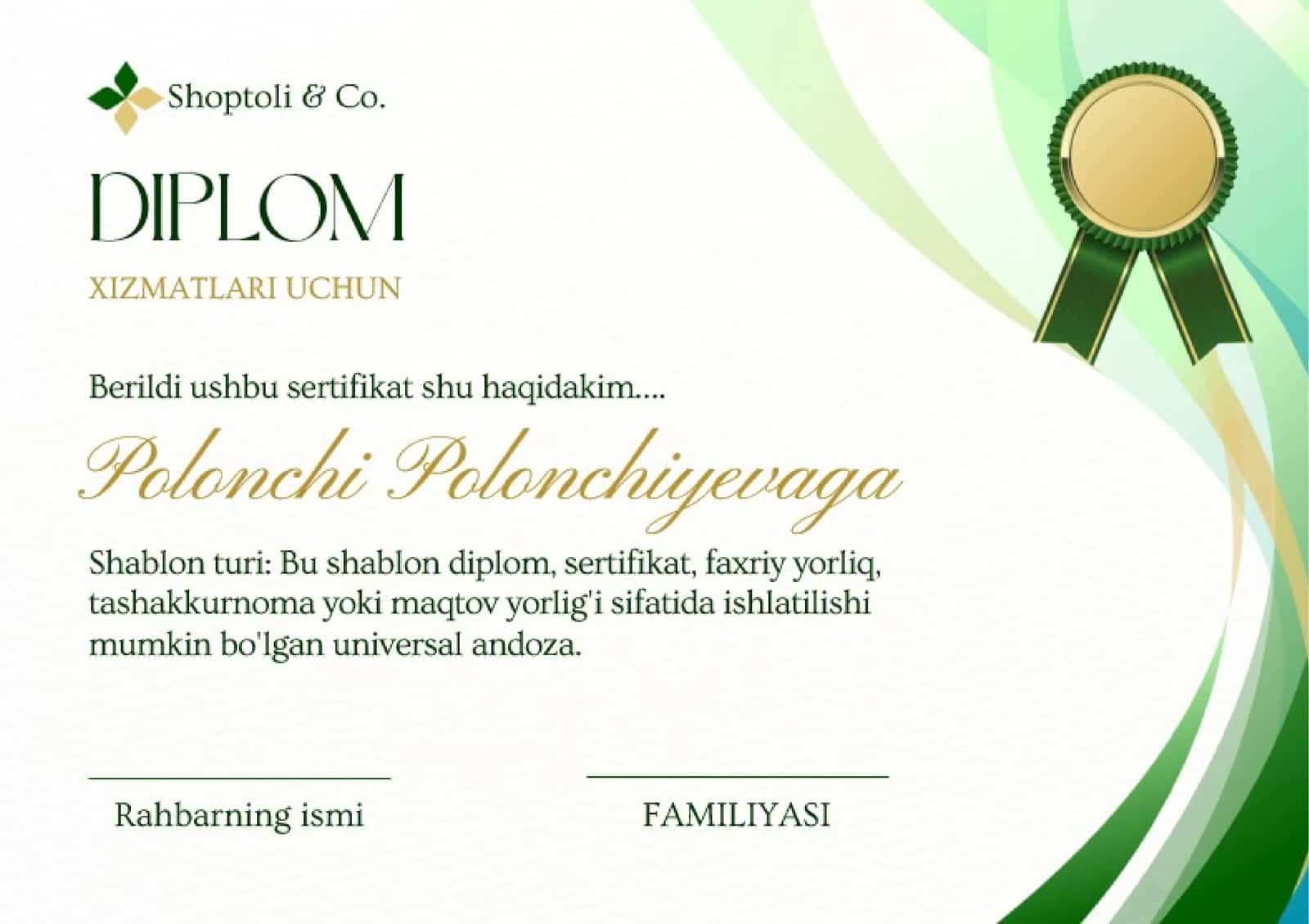 DIPLOM 1