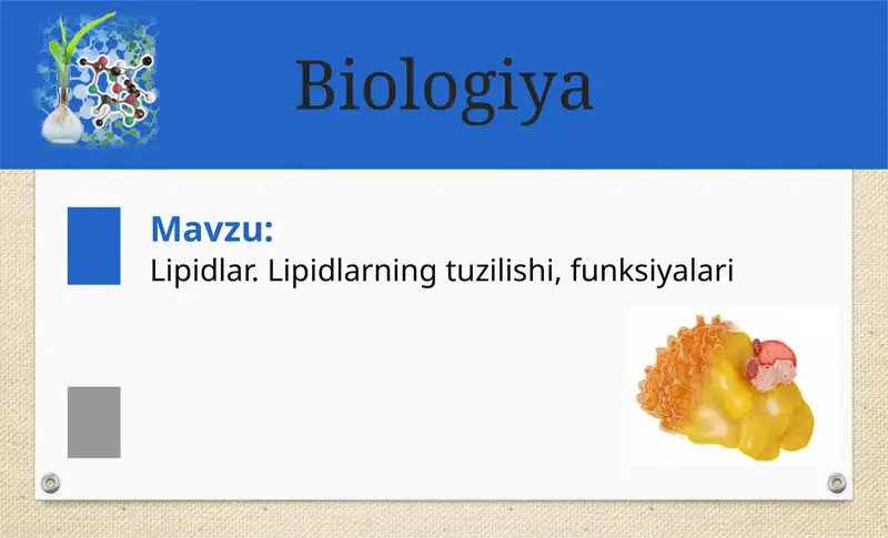 Lipidlar 1
