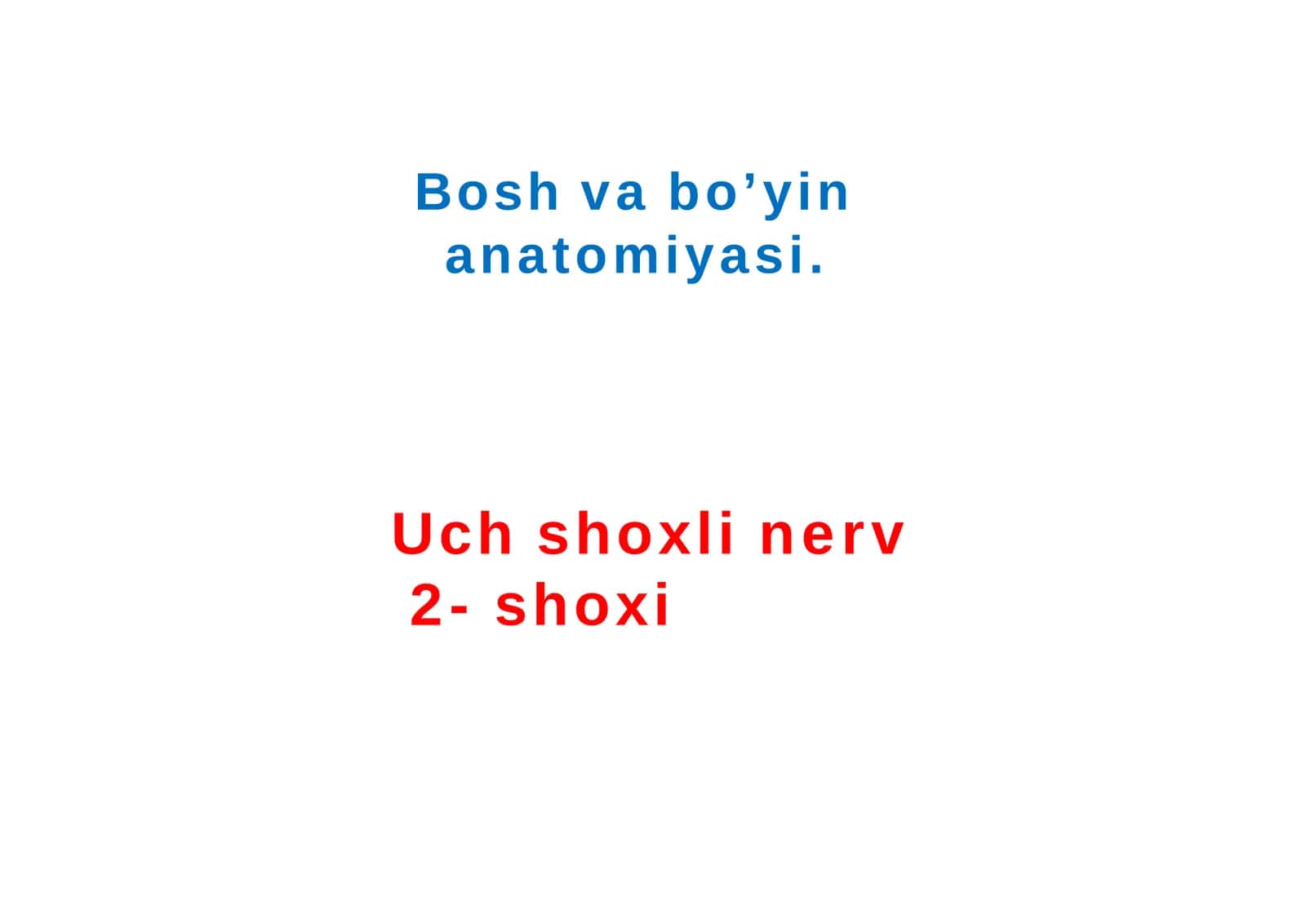 Uch shoxli nerv  2- shoxi 1