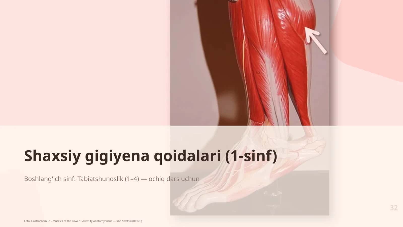Shaxsiy gigiyena qoidalari (1-sinf) 1