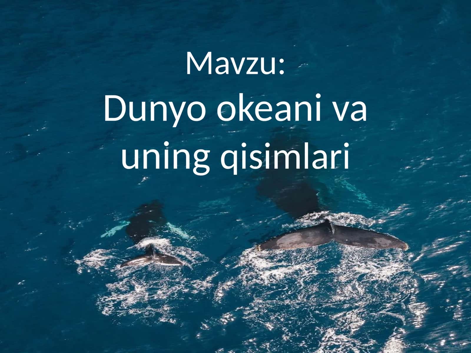 Dunyookeanivauningqisimlari 1